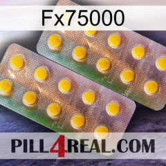 Fx75000 new10